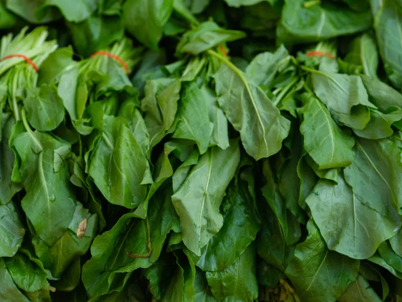 Methi Is the Ingredient Your Curry Has Been Missing This Whole Time